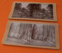 Webster& Albee Stereoview Cards 2  - Sold By Canvassers