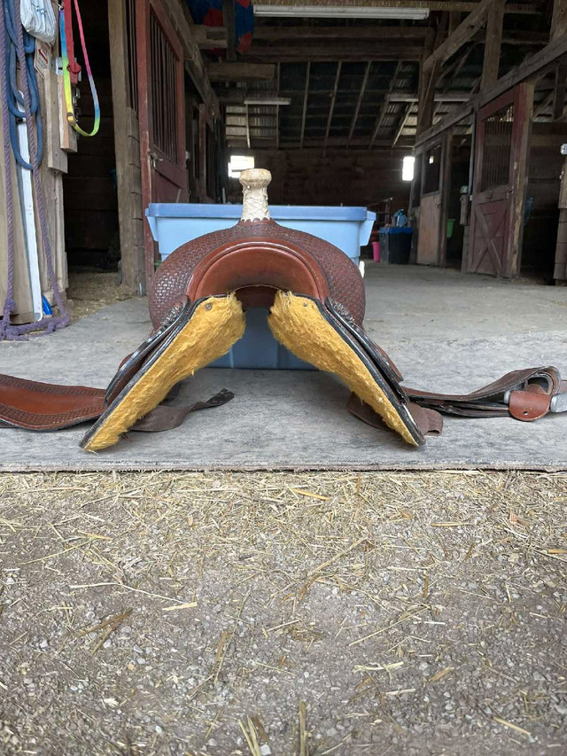 Copper Canyon Saddle in Equestrian & Livestock Accessories in Hamilton - Image 4