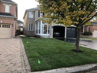 Professional SOD INSTALLATION | LANDSCAPING | CALL 647-467-6496