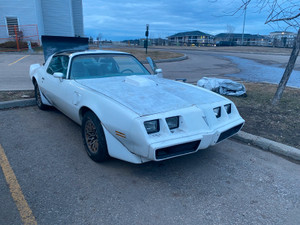 1979 Pontiac Trans Am T-top