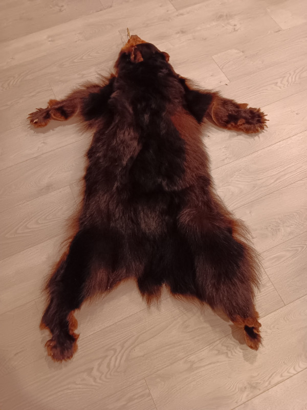 Small black bear rug or wall decor. in Home Décor & Accents in Renfrew