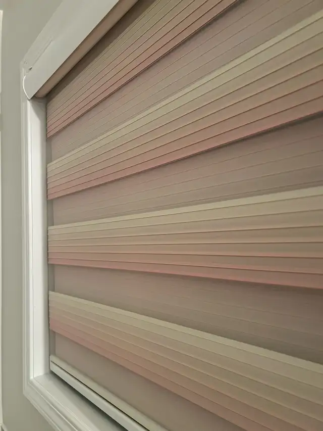 Zebra Blinds Roller Shades Curtain64639724127619120