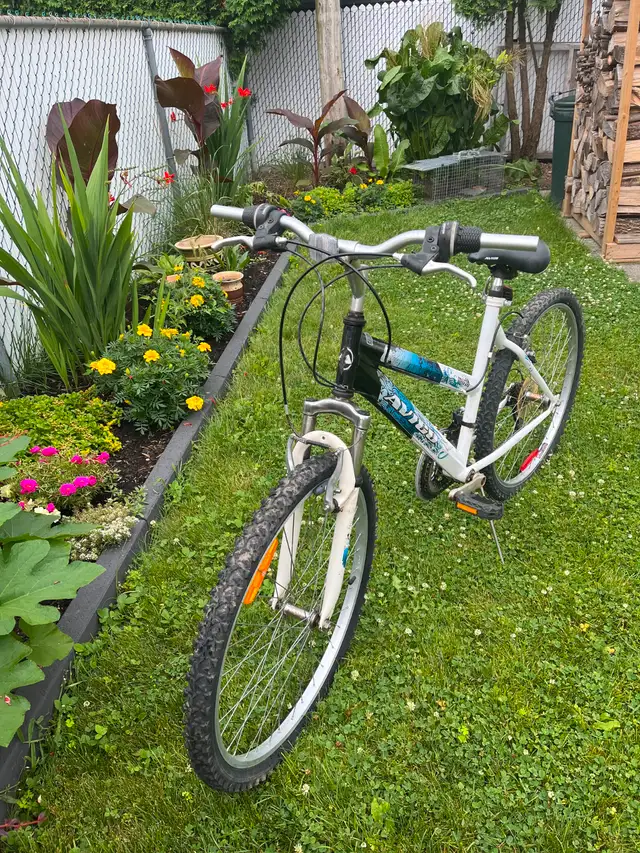 Vélo 26 po Avigo in Cruiser, Commuter & Hybrid in Laval / North Shore - Image 7