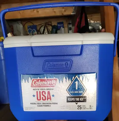 Cooler: 16 quart/ 15.1 L, View more