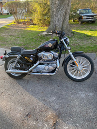 2002 Harley sportster 883 
