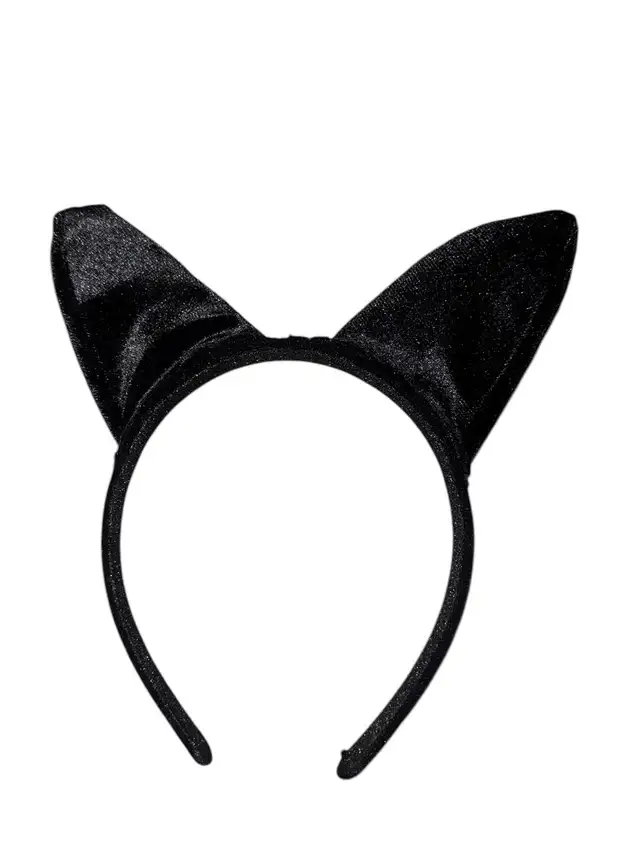 Bat costume in Costumes in Oakville / Halton Region - Image 6
