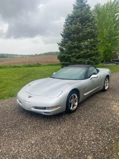 2002 Corvette 6 speed convertible. Silver.. reduced to $21,900. car was imported from Florida in spr...