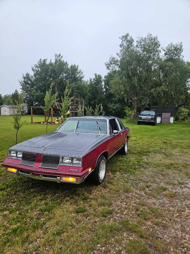 1985 olds cutlass  with T roof in Classic Cars in Nipawin - Image 4