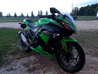 Kawasaki Ninja 300
