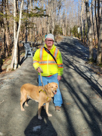 Dogwalking in HRM, Potty breaks and more