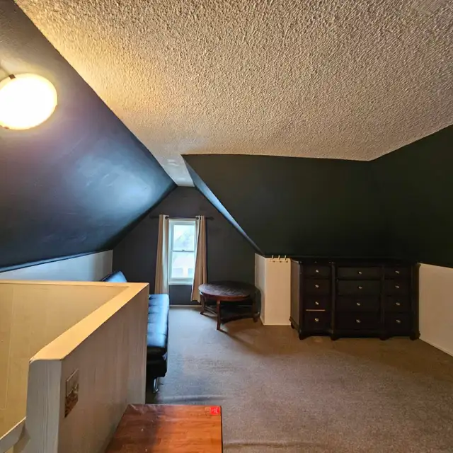 loft, 600$, must love cats