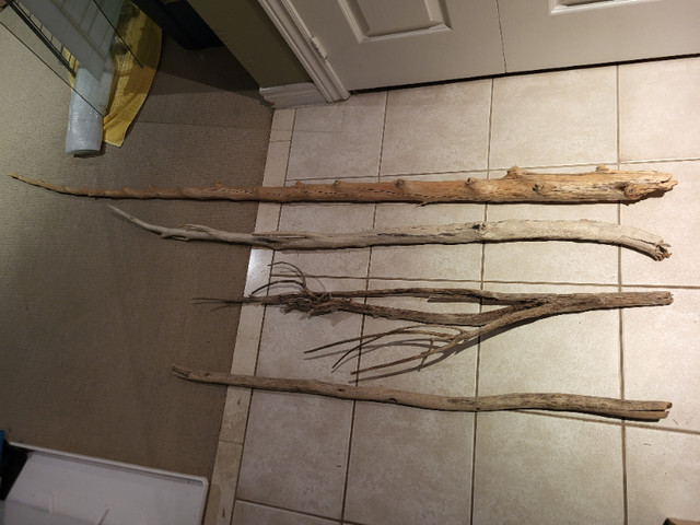 Driftwood, White birch, decorative wood pieces- macrame pieces in Arts & Collectibles in City of Toronto