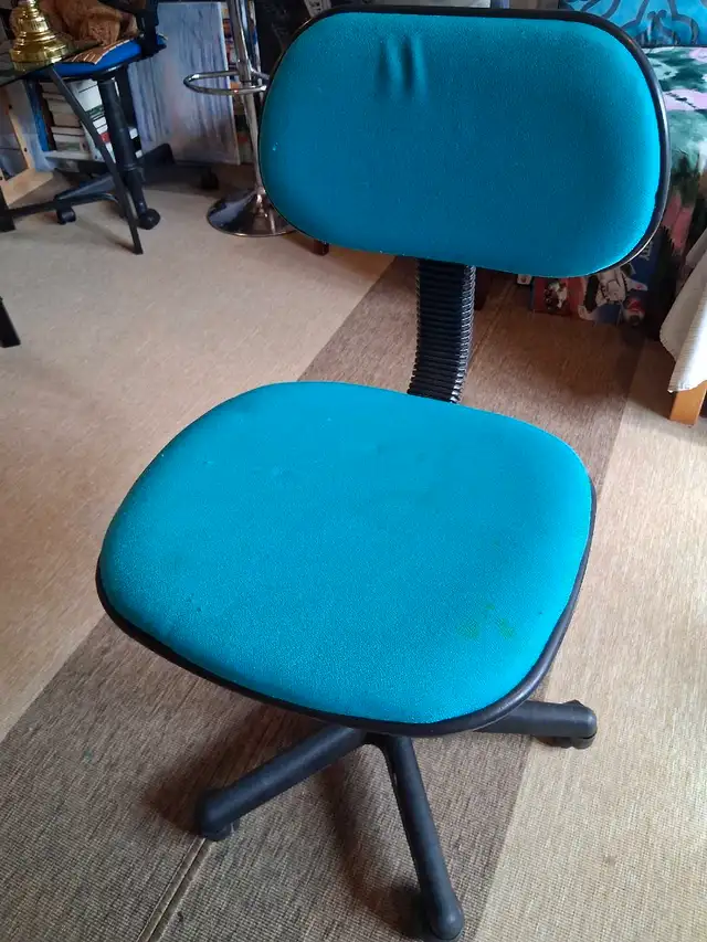 swivel adjustable chair63611956242179120