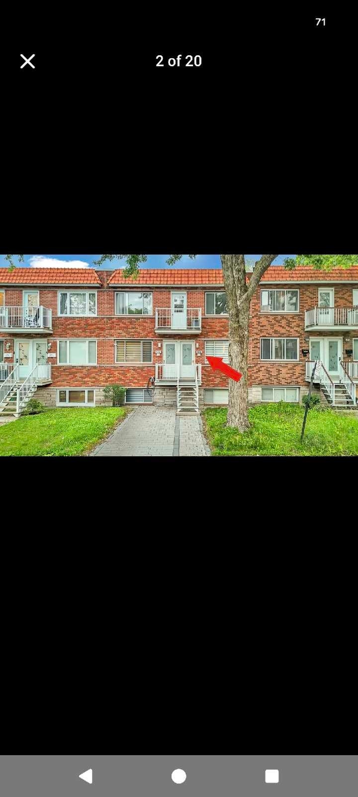 2138 Rue Saint-Donat — photo 1