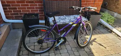 Next Mountain Bike, View more