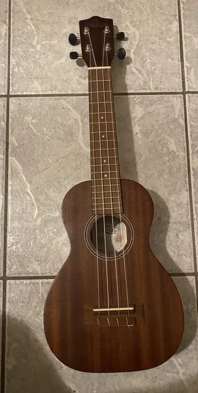 This Leho LHUS-MM Mahogany Series Arch Back Soprano Ukulele produces warm, resonant tones thanks to...