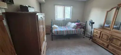 Looking for a roommate