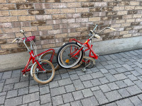 Two folding bike