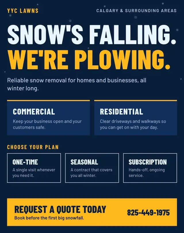 snow removal 