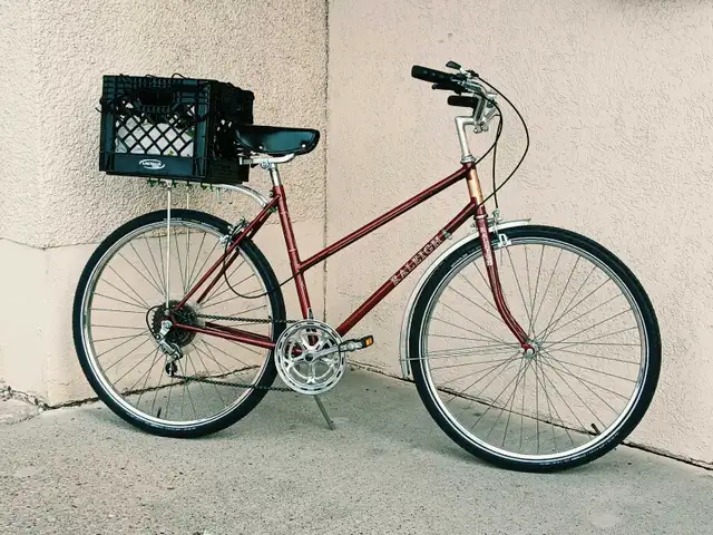 Beautiful Vintage Raleigh Bike