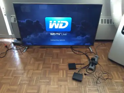 Western Digital (WD) TV Live Streaming Media Player, View more