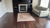 Bridgewater forest! Beautiful Persian style rug for sale 