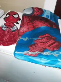 Spiderman fans