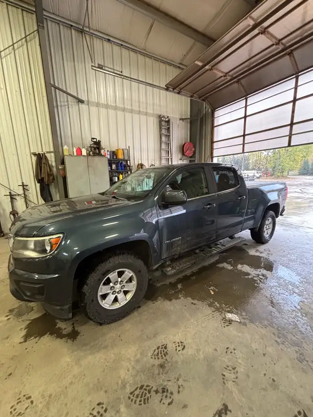 2019 Chevy Colorado WT Crew Cab591903107255511044