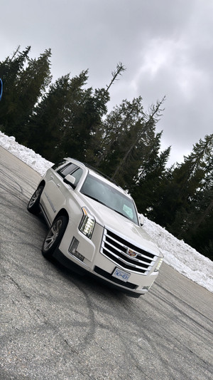 2015 Cadillac Escalade Premium 