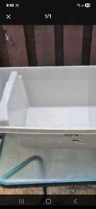 Big kitty litter box, View more