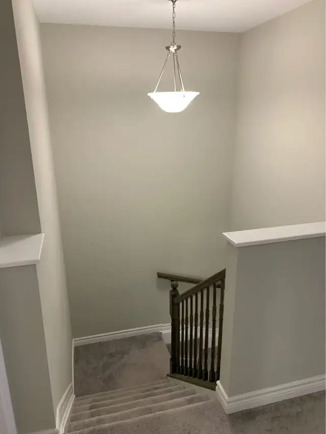 A specious private room available for rent in Room Rentals & Roommates in Ottawa - Image 9