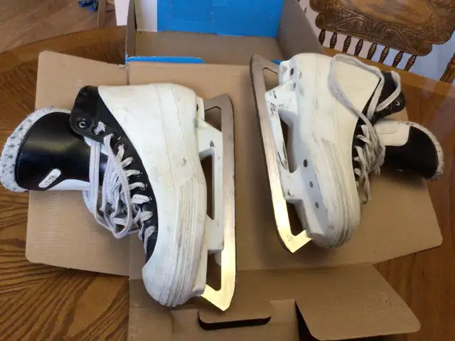 Senior CCM Goalie Skates Model 550 Size 8.5? in Hockey in Windsor Region - Image 2