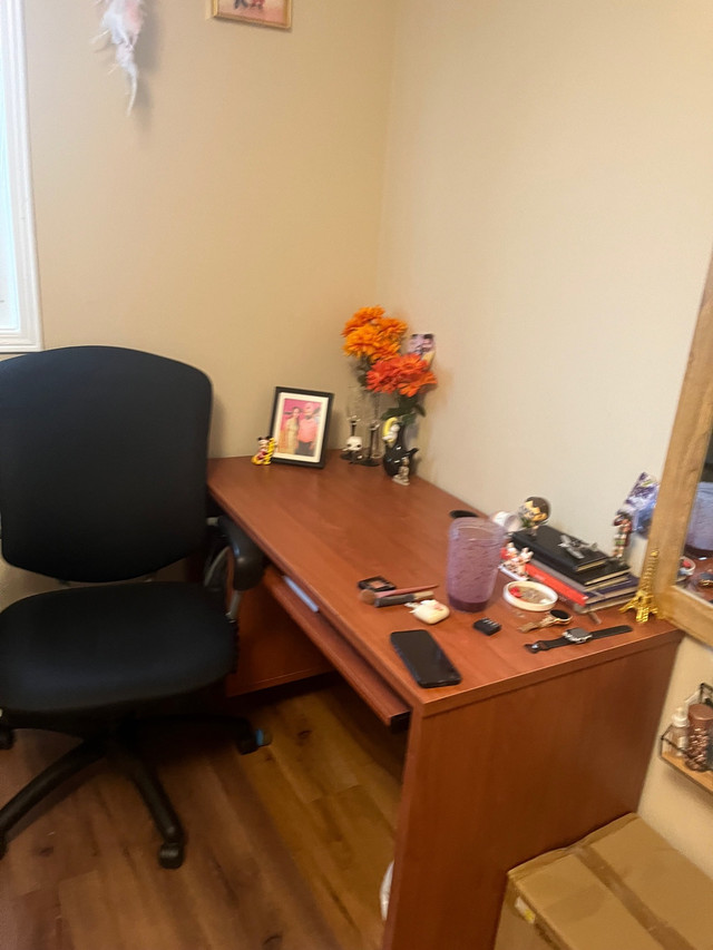 Room for rent in Brampton Room Rentals & Roommates Mississauga