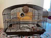 Love bird - Small birds cage