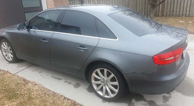 Super Nicely Used Audi A4 Car in Great Condition in Cars & Trucks in Kitchener / Waterloo - Image 3