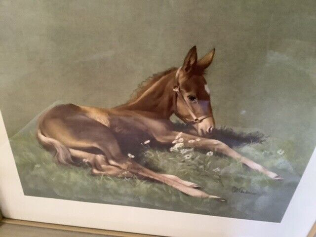 Vtg Colt Print (part of Colts & Champions series) C.W. Anderson in Arts & Collectibles in Belleville - Image 3