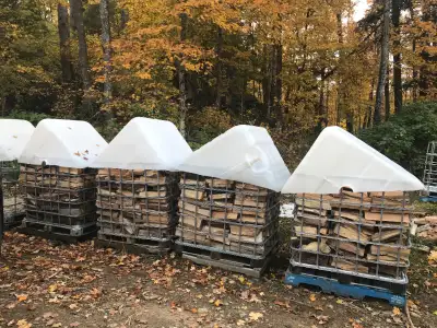 SEASONED HARDWOOD: $160 per face cord $480 per bush cord SEASONED SOFTWOOD $120 per face cord $360 p...