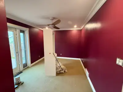 Expert Painter Available, View more