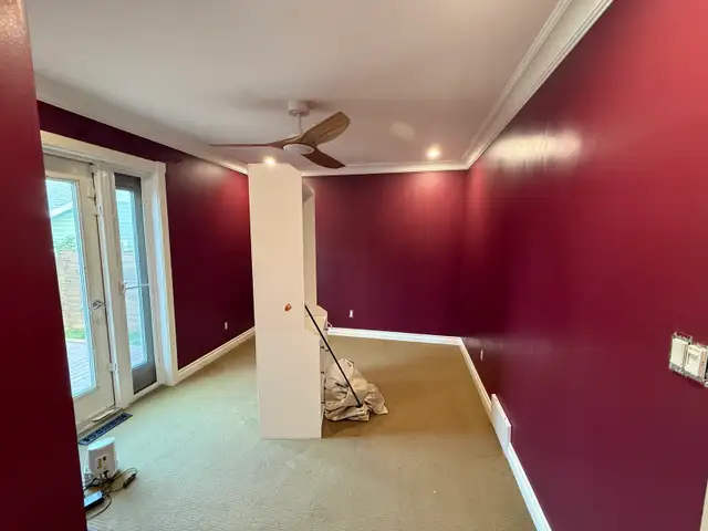 Expert Painter Available