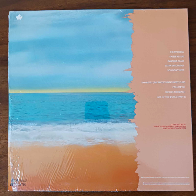 JANE SIBERRY-No Borders Here-Duke Records Canada DSR-31006, 1984 in CDs, DVDs & Blu-ray in Hamilton - Image 3