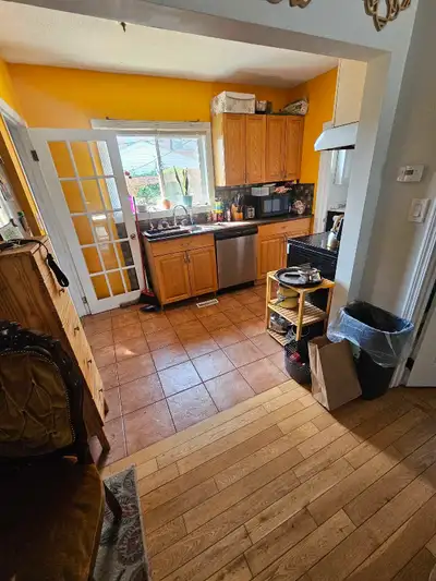 Roommate Wanted
