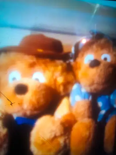 Vintage Family of bernstien bears in display cases $160 firm, View more