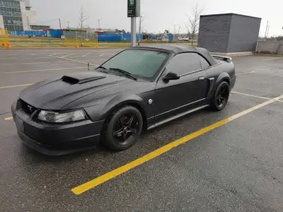 2004 Ford Mustang GT 40th Anniversary Edition. No check engine light, no accidents, no claims, clean...