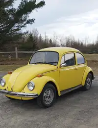 1972 Super Beetle