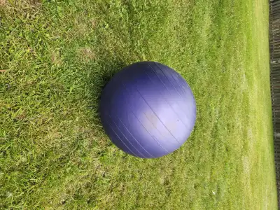 Ballon d'exercice à donner.