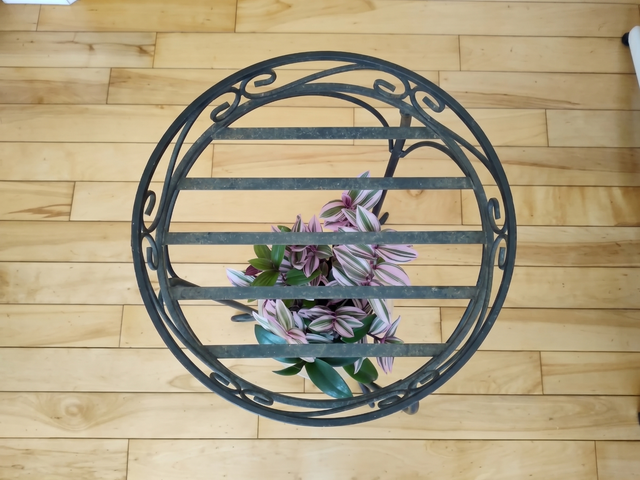 Solid 2-level metal plant stand504929975660728324