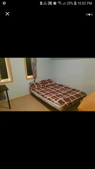 Roommate