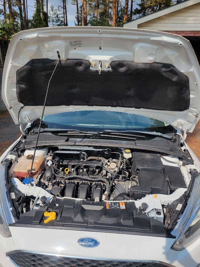2017 Ford Focus SE in Cars & Trucks in Trenton - Image 4