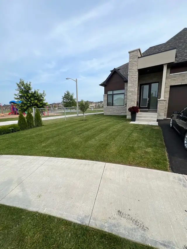 Fall Clean ups64519979472129124