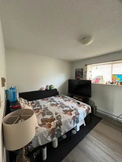 Private room for rent